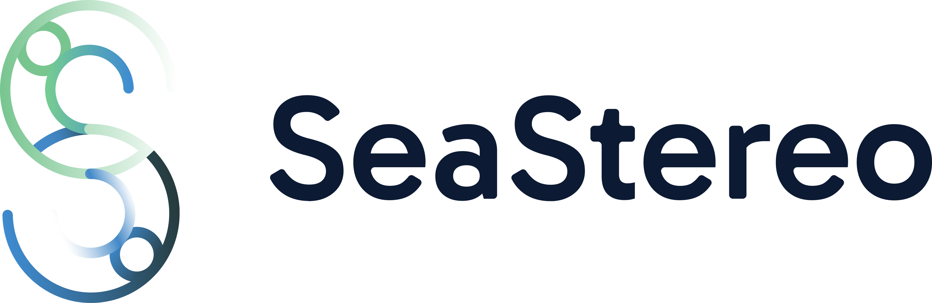 SeaStereo Logo
